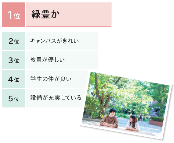 目白の好きなところ