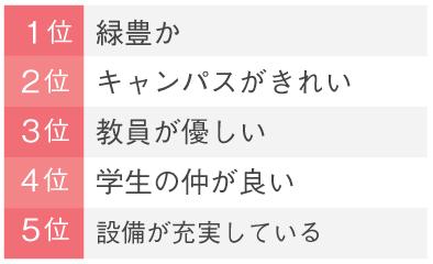 目白の好きなところ