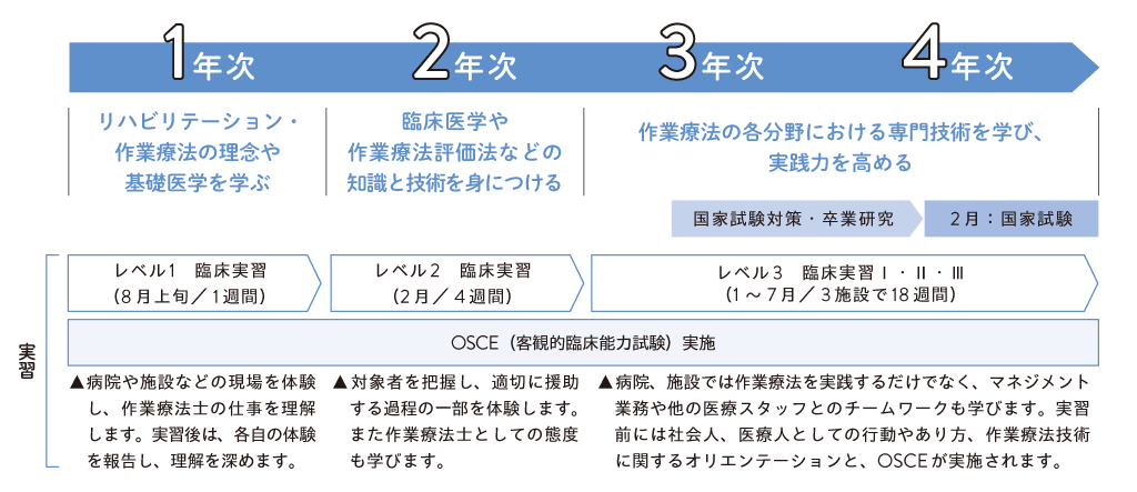 作業療法学科実習スケジュール