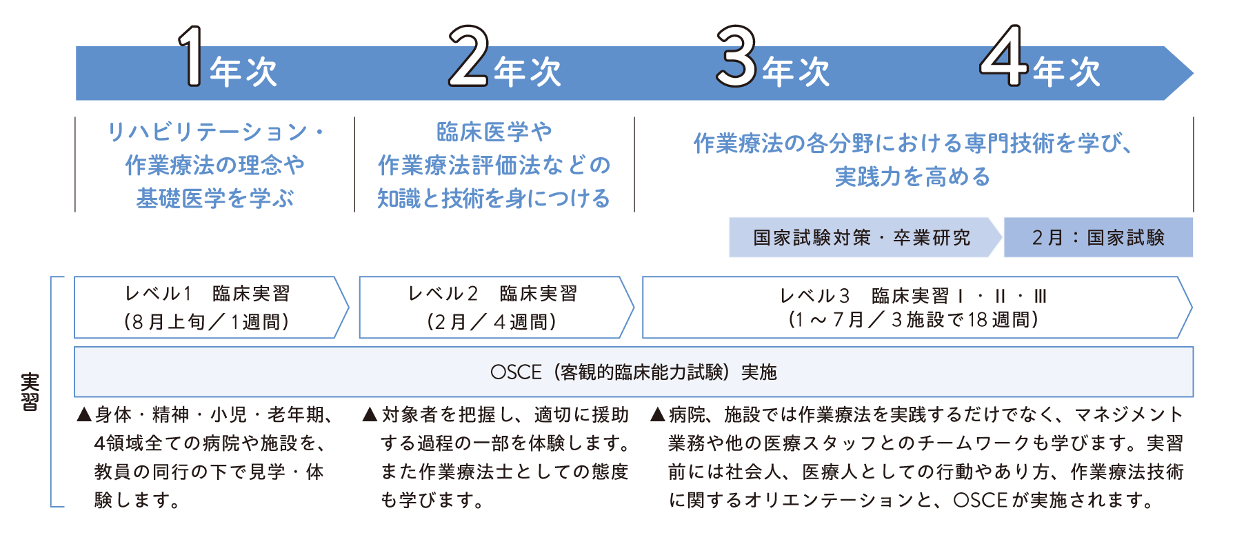 作業療法学科実習スケジュール